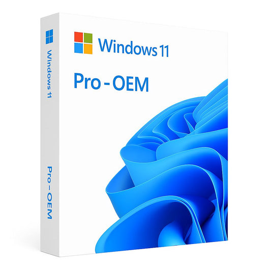 Windows 11 Professional OEM Key