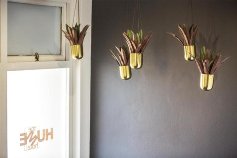 Nightcap at Hume Hotel